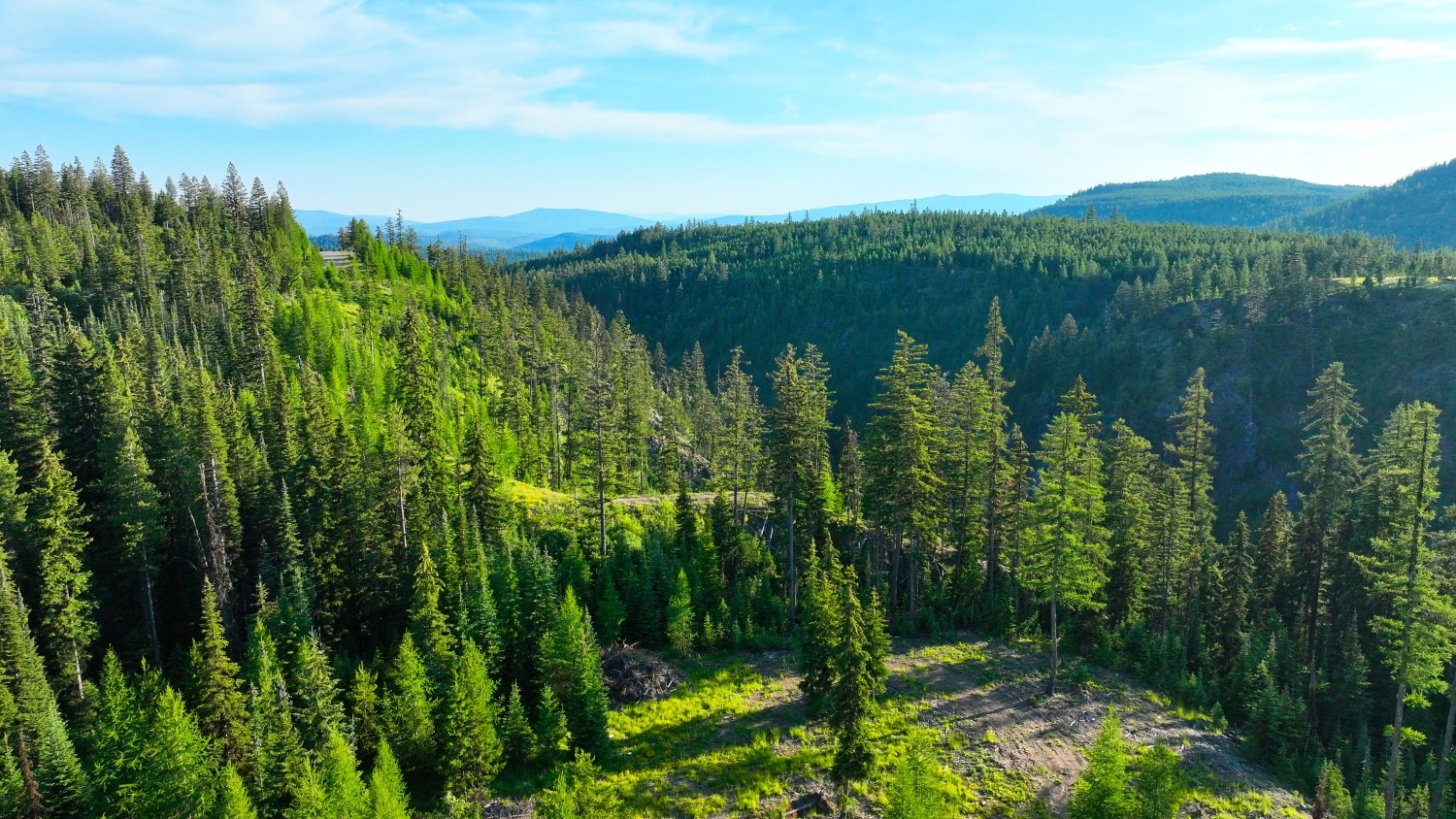 Nhn Two Creeks Marion Unimprovedland Waterfront 25