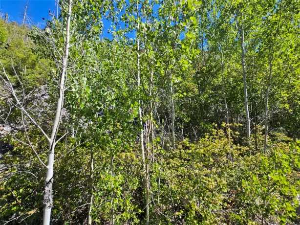 80 Upper Packer Gulch Road Drummond Unimprovedland