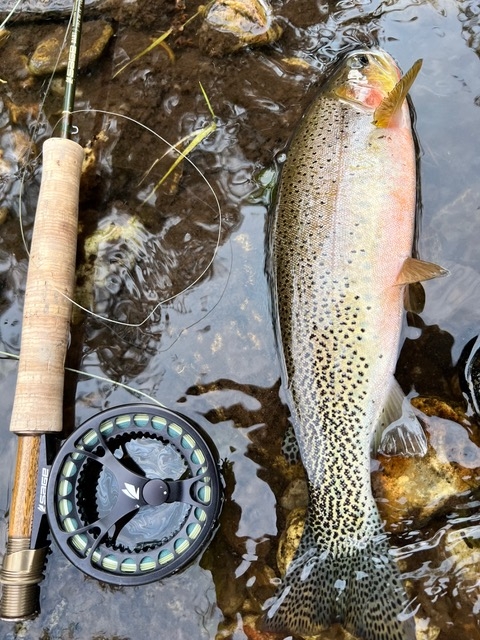 1305 Skalkaho Hwy Hamilton Singlefamilyresidence 8