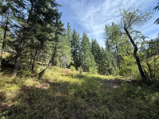 Nkn Wyant Lane Hamilton Horse Waterfront 7 Acres