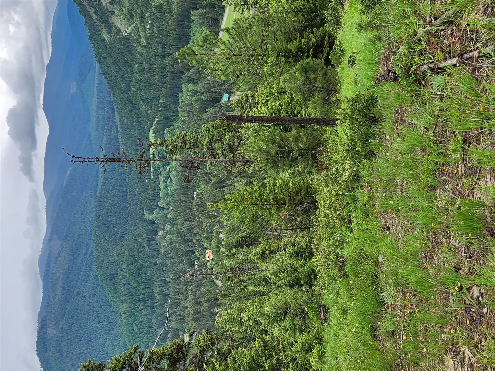 435 Cabin City Loop St Regis Waterfront 50 Acres