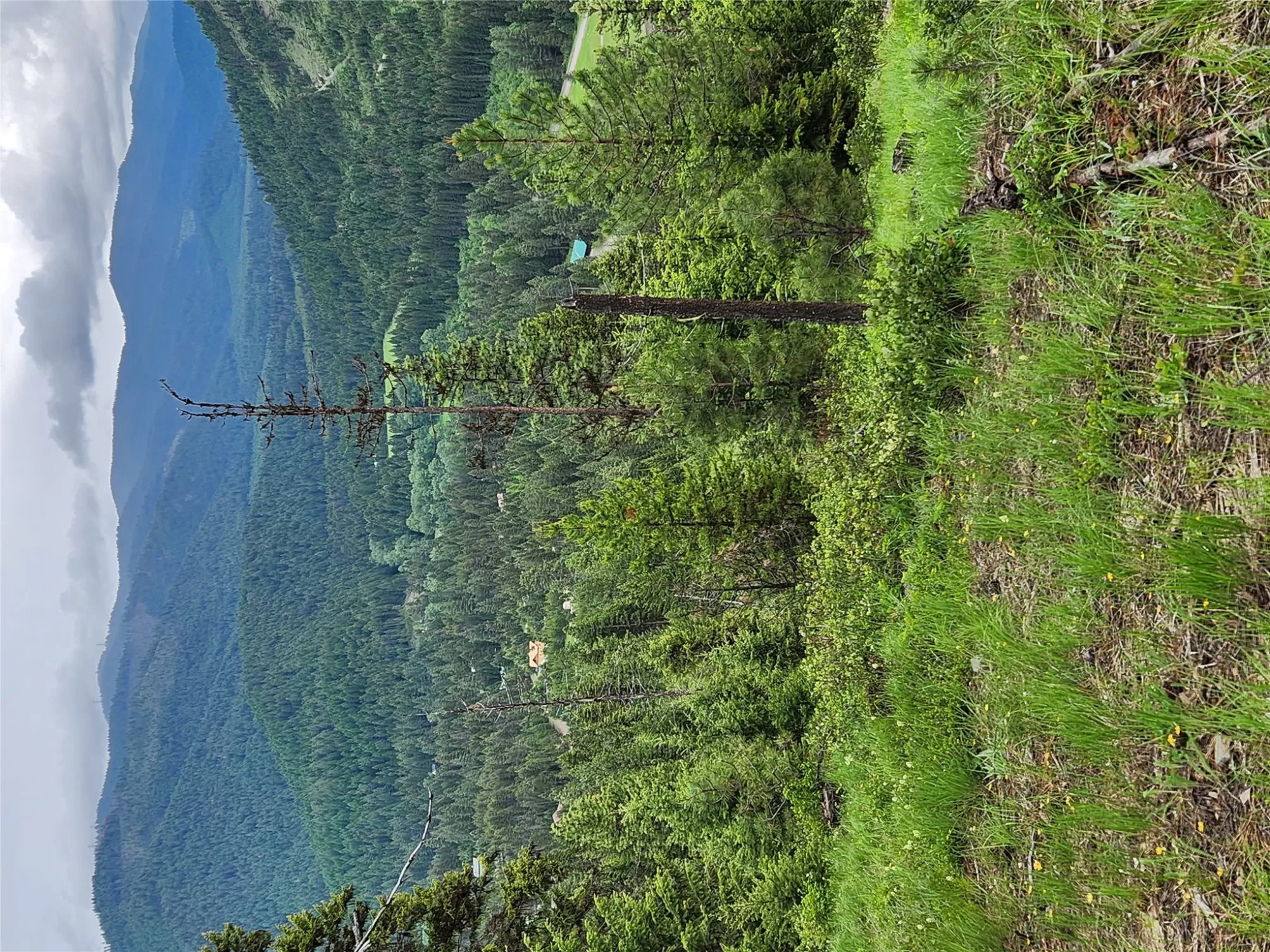 435 Cabin City Loop St Regis Waterfront 50 Acres