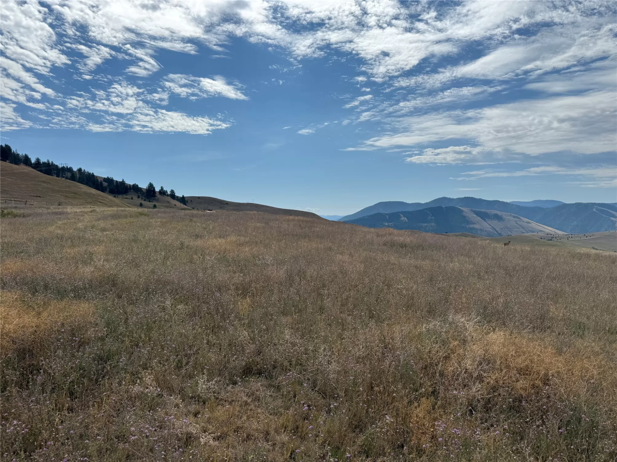 Nkn Gleneagle Way Missoula Waterfront 20 Acres