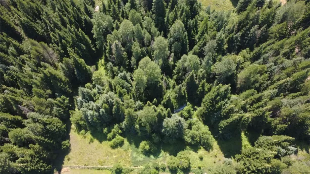 905 Freeman Ridge Road Troy Waterfront