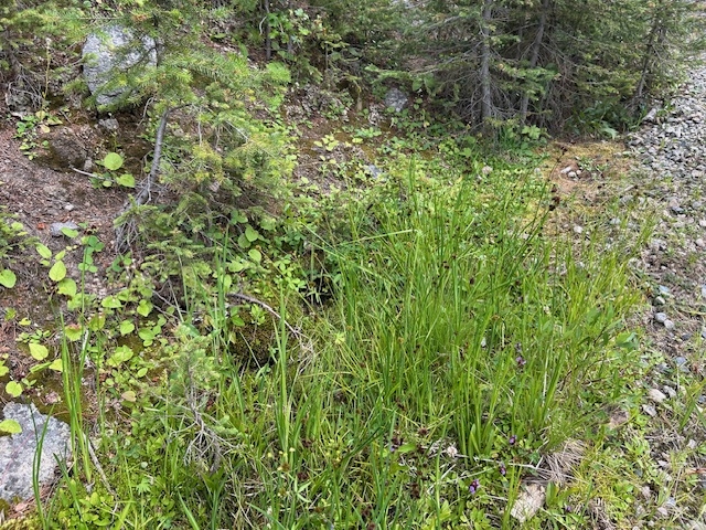 269 Boulder Chief Road Basin Unimprovedland Waterf