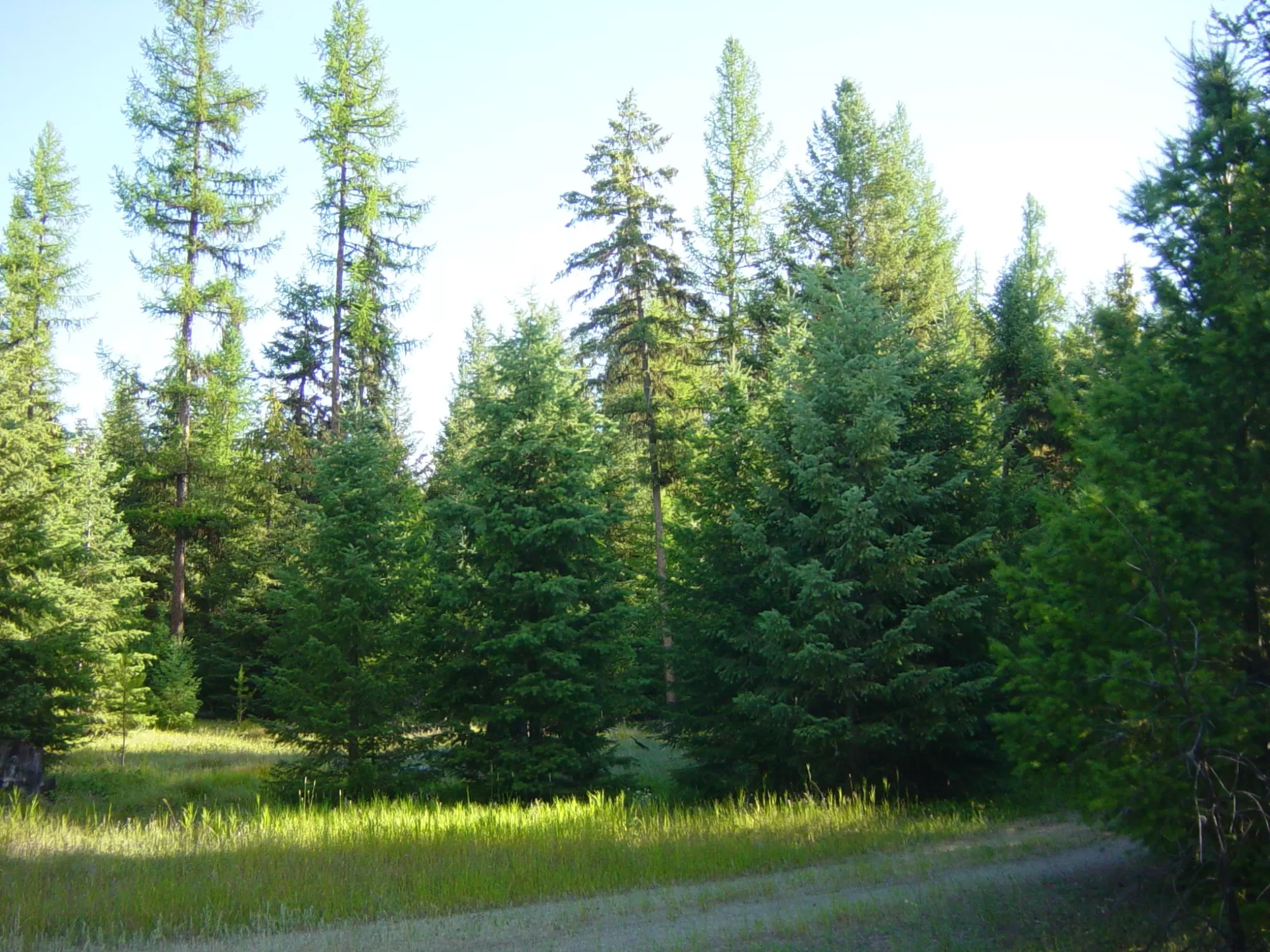 Nhn Acm Road S Libby Unimprovedland Waterfront