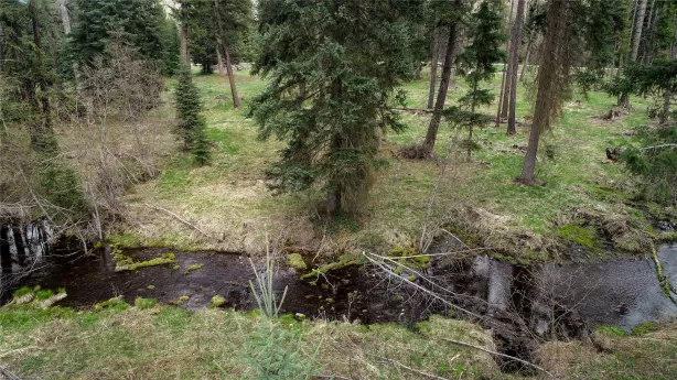 137 Fallen Bear Lane Libby Waterfront