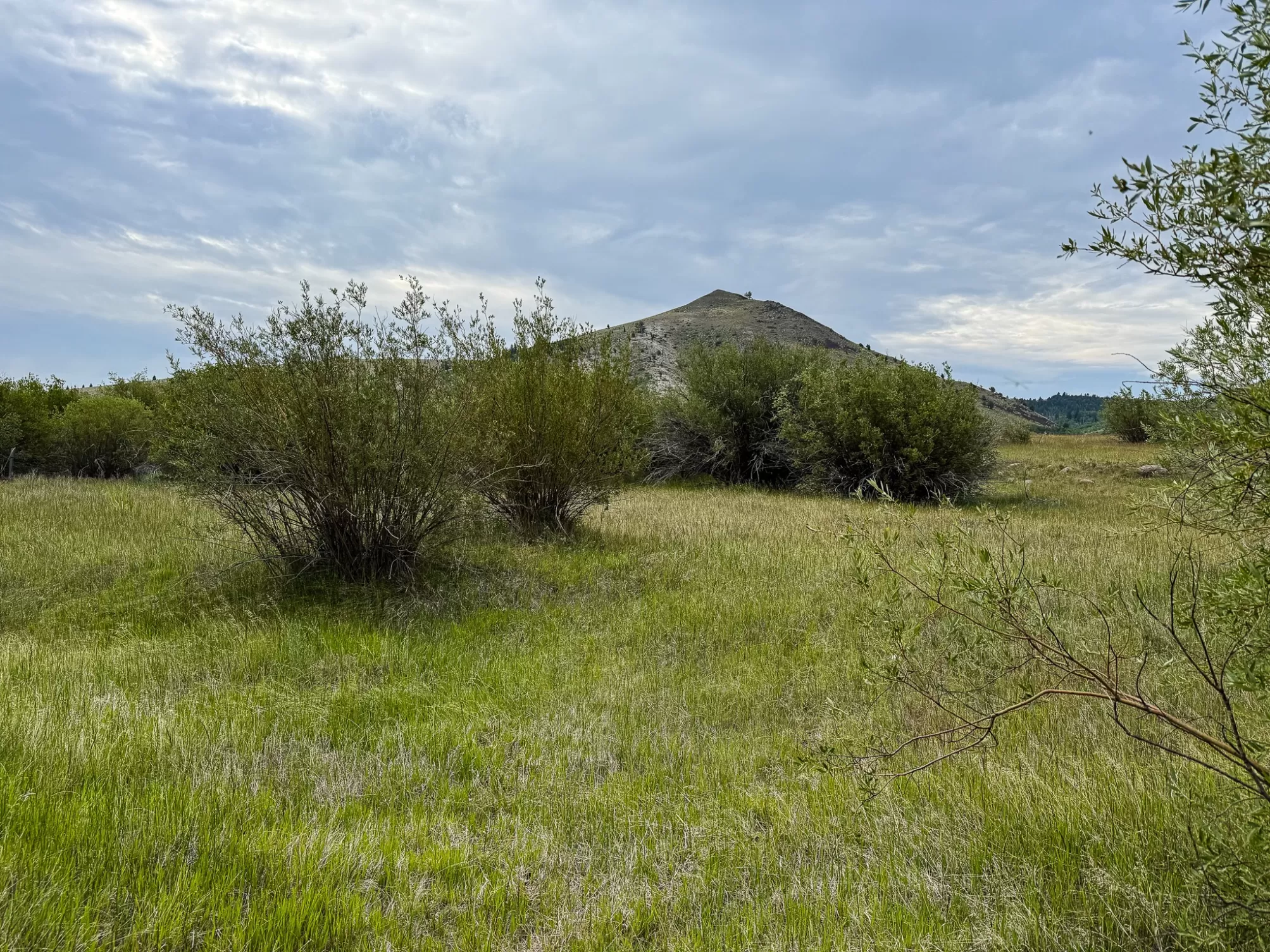 Anaconda Golf Horse Waterfront 22 Acres