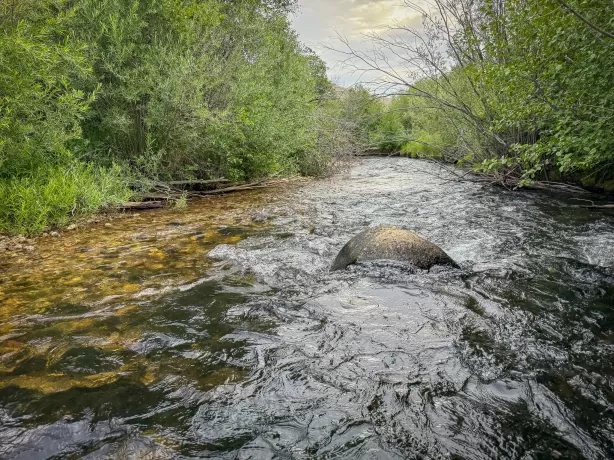 Anaconda Golf Horse Waterfront 22 Acres