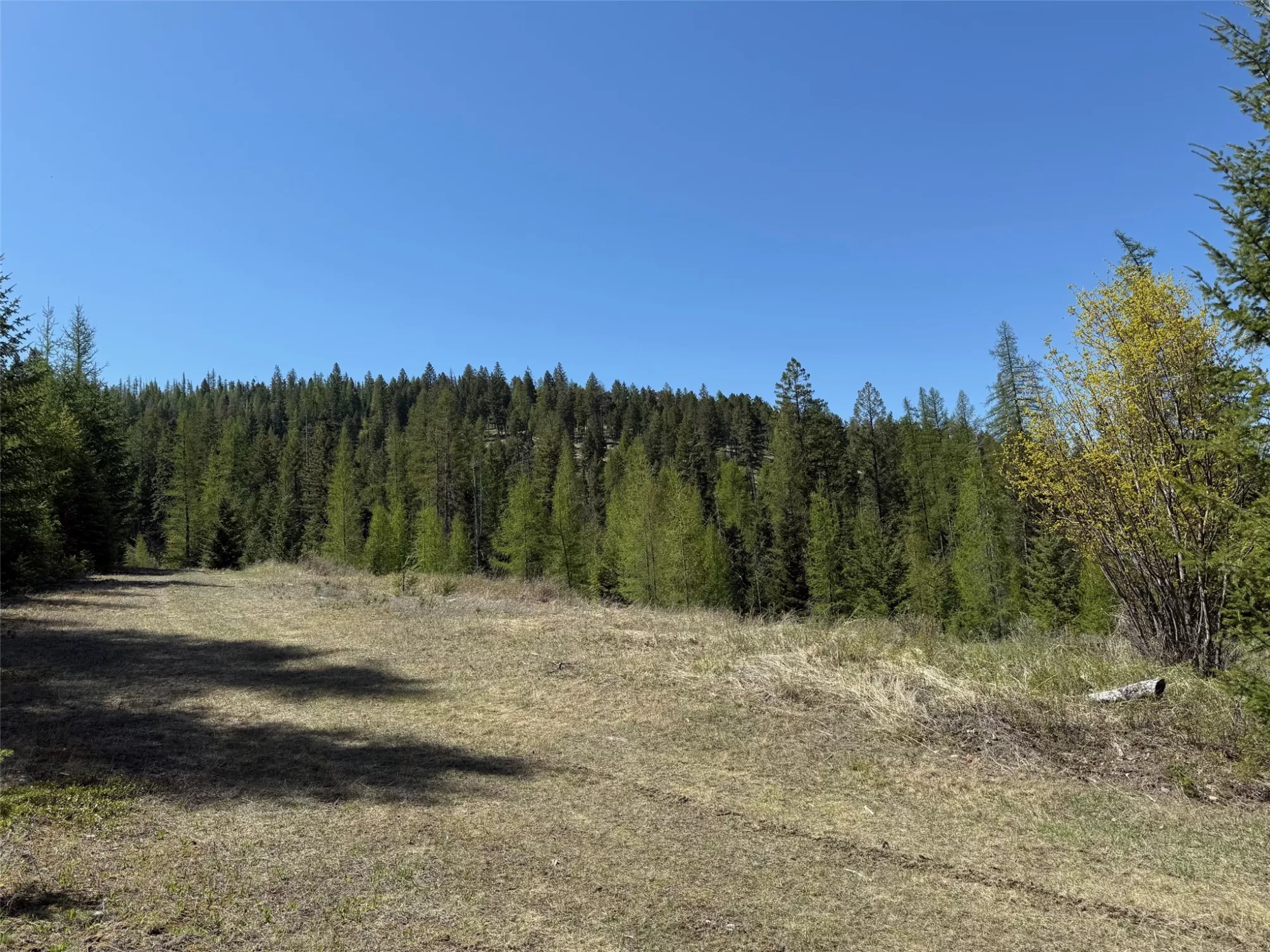 Nhn Whitetail Ridge Road Kila Unimprovedland Horse