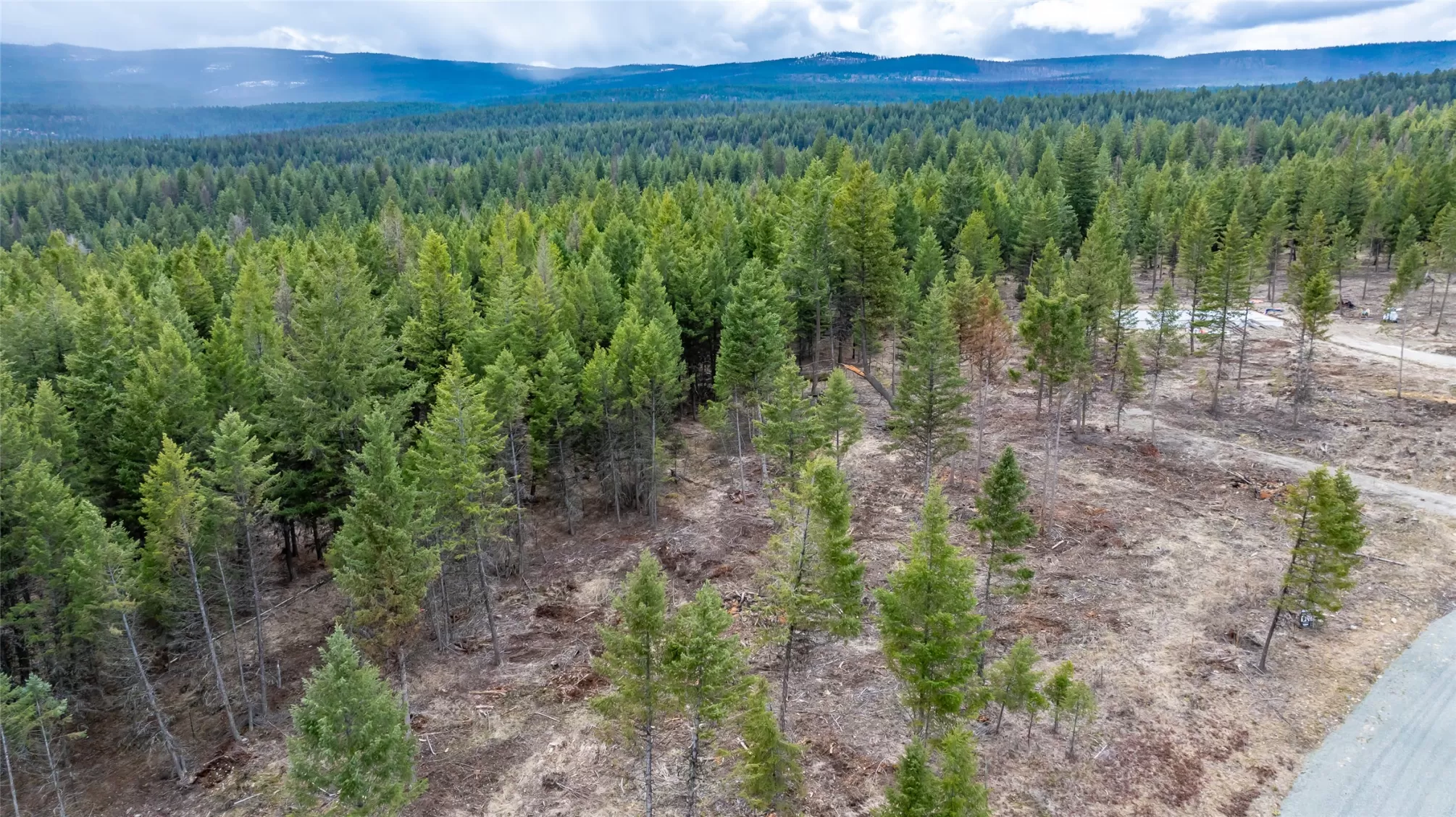 Nhn Lot Num33 Osprey Loop Eureka Waterfront