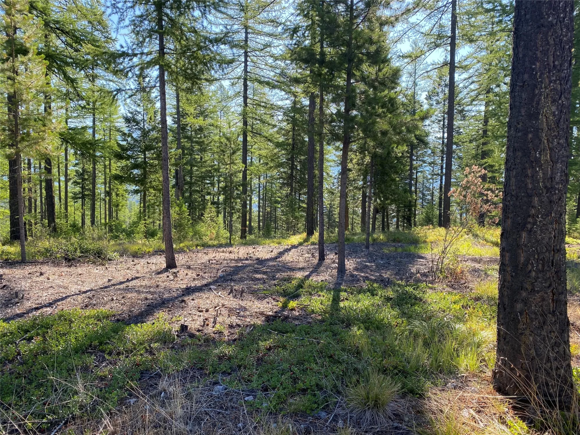 17768 Thornburg Way Missoula Waterfront 20 Acres