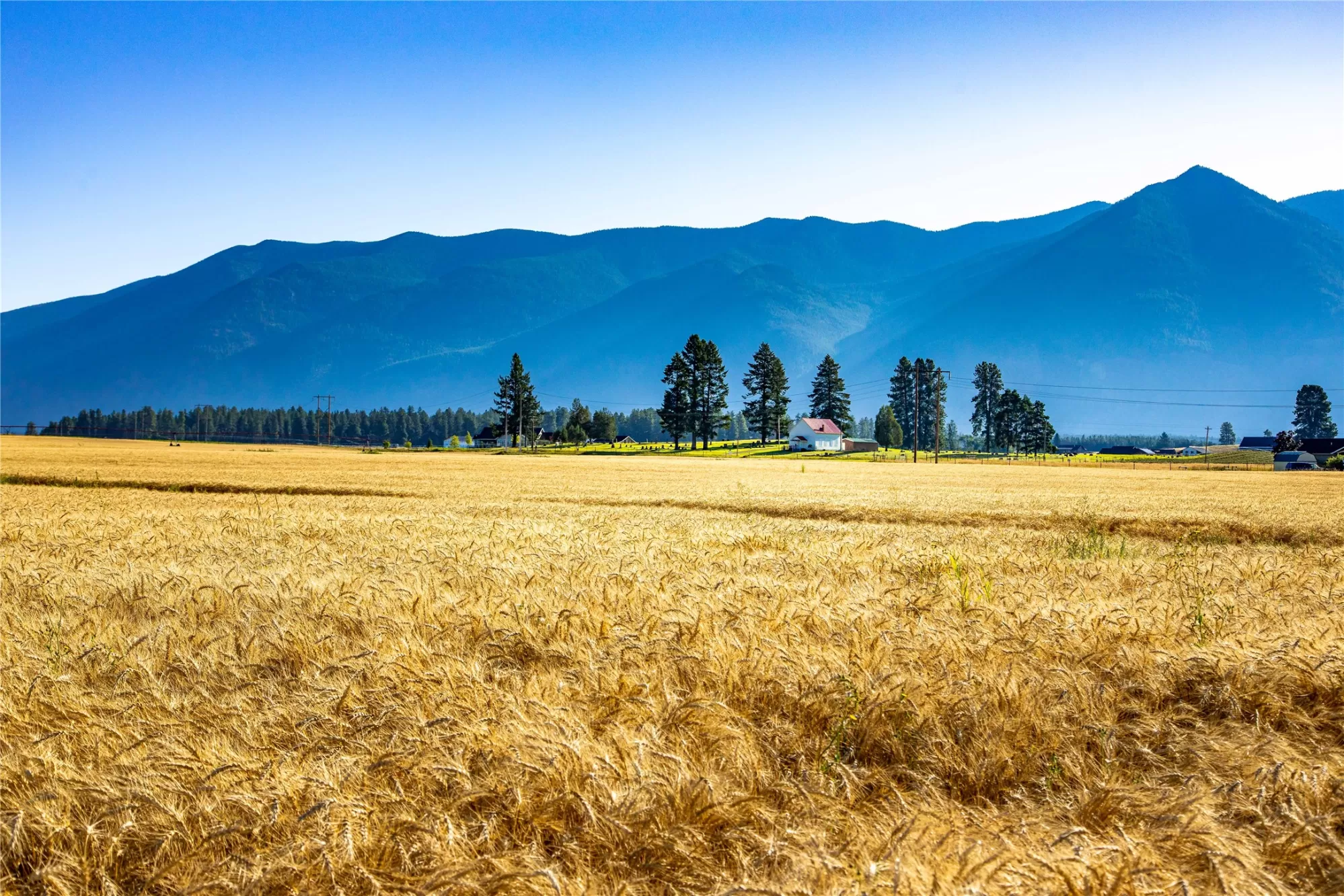 1200 Fairview Cemetery Road Columbia Falls Waterfr