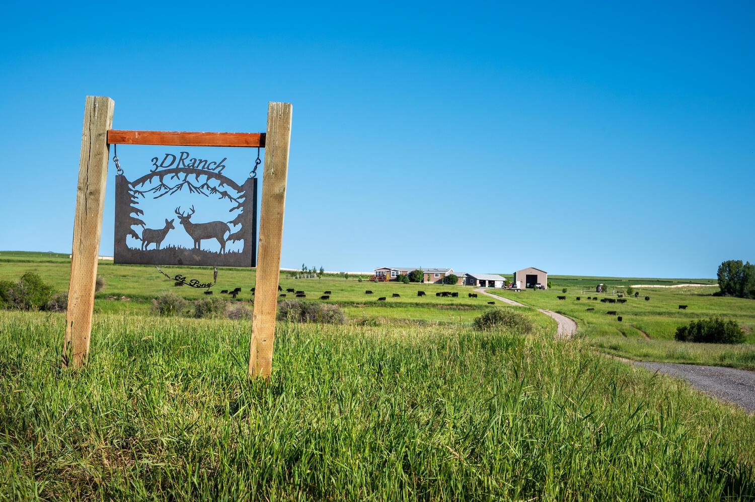 164 Pony Road Harrison Manufacturedhome 0 Bedrooms