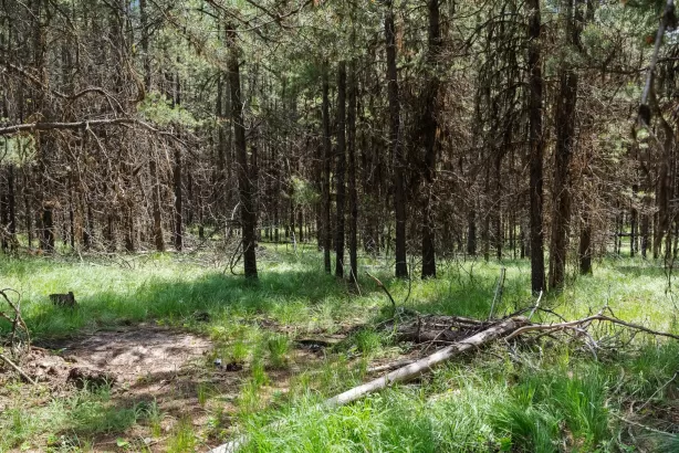 182 New Timber Ridge Trail Marion Unimprovedland H