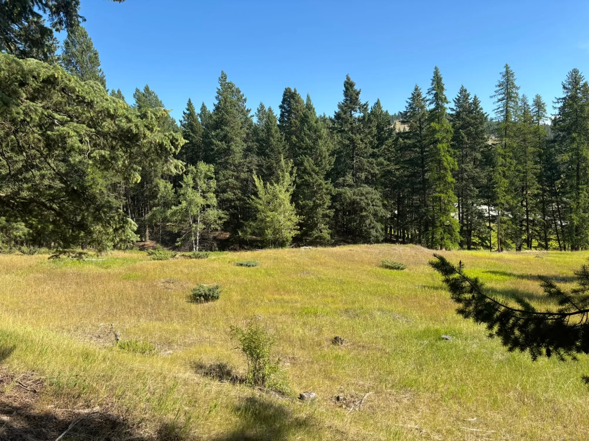 686 Morning View Drive Kalispell Ski Waterfront 5