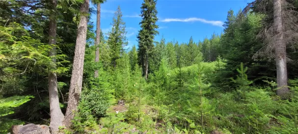 386 Seahawks Drive Troy Waterfront 5 Acres