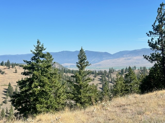 Nhn Dry Gulch Road Missoula Unimprovedland Waterfr