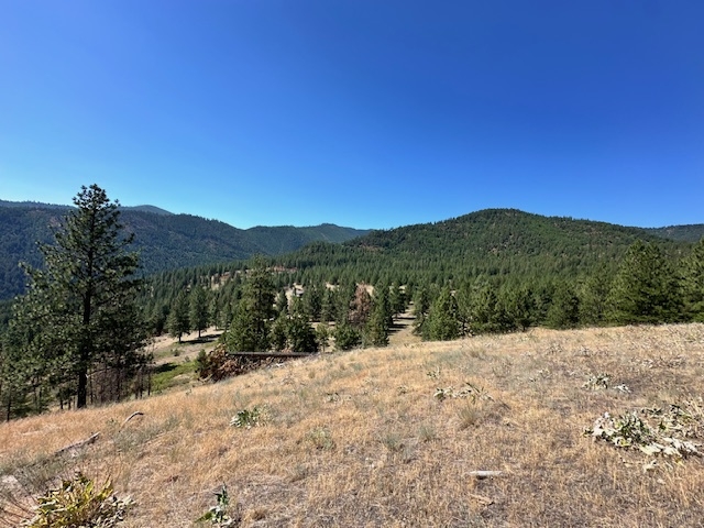 Parcel 1a Dry Gulch Road Missoula Unimprovedland W