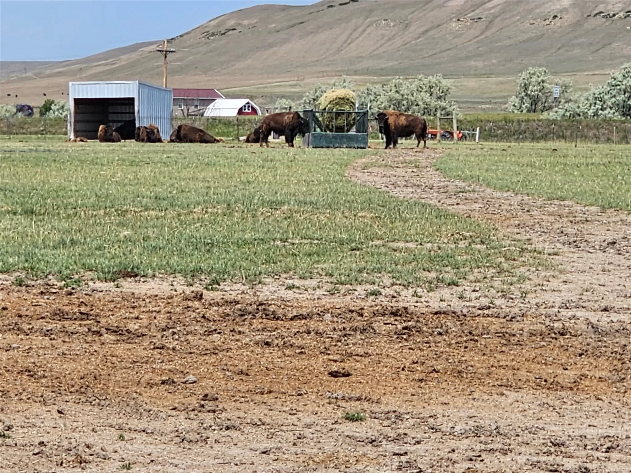 935 1st Avenue Vaughn Agriculture Waterfront 12 Ac