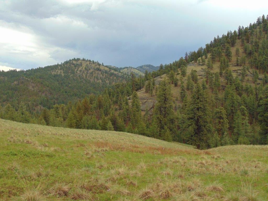 15 Shady Spring Lane Cascade Unimprovedland Horse