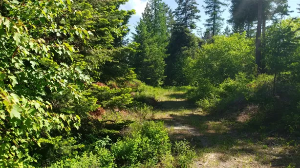 500 Blacktail Heights Road Lakeside Waterfront 20