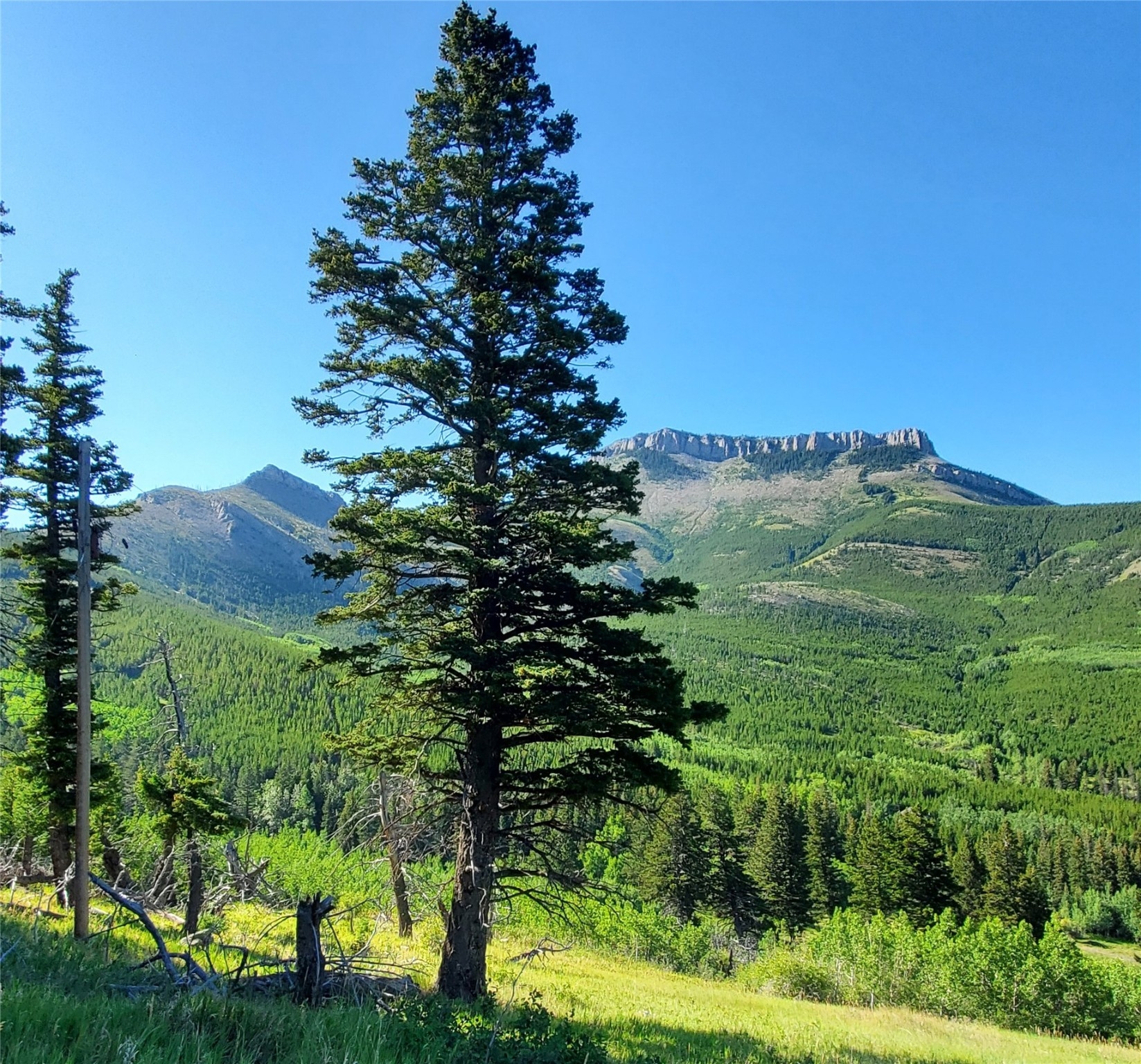 3384 Joslin Creek Road Augusta Waterfront