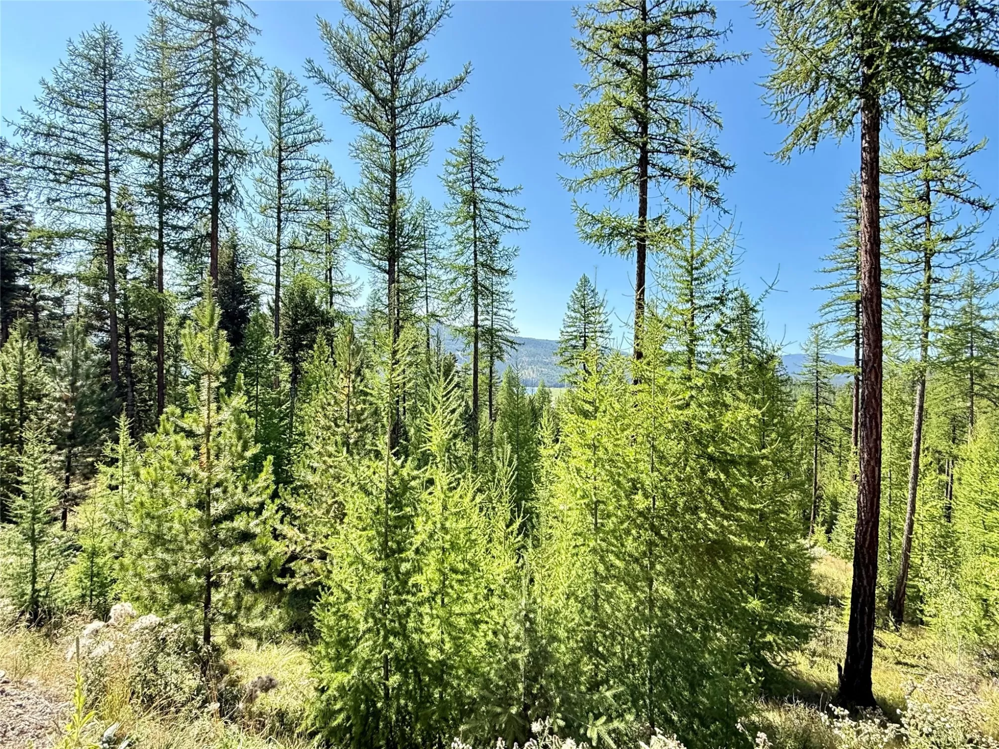 240 Hodge Creek Drive Kila Singlefamilyresidence 4