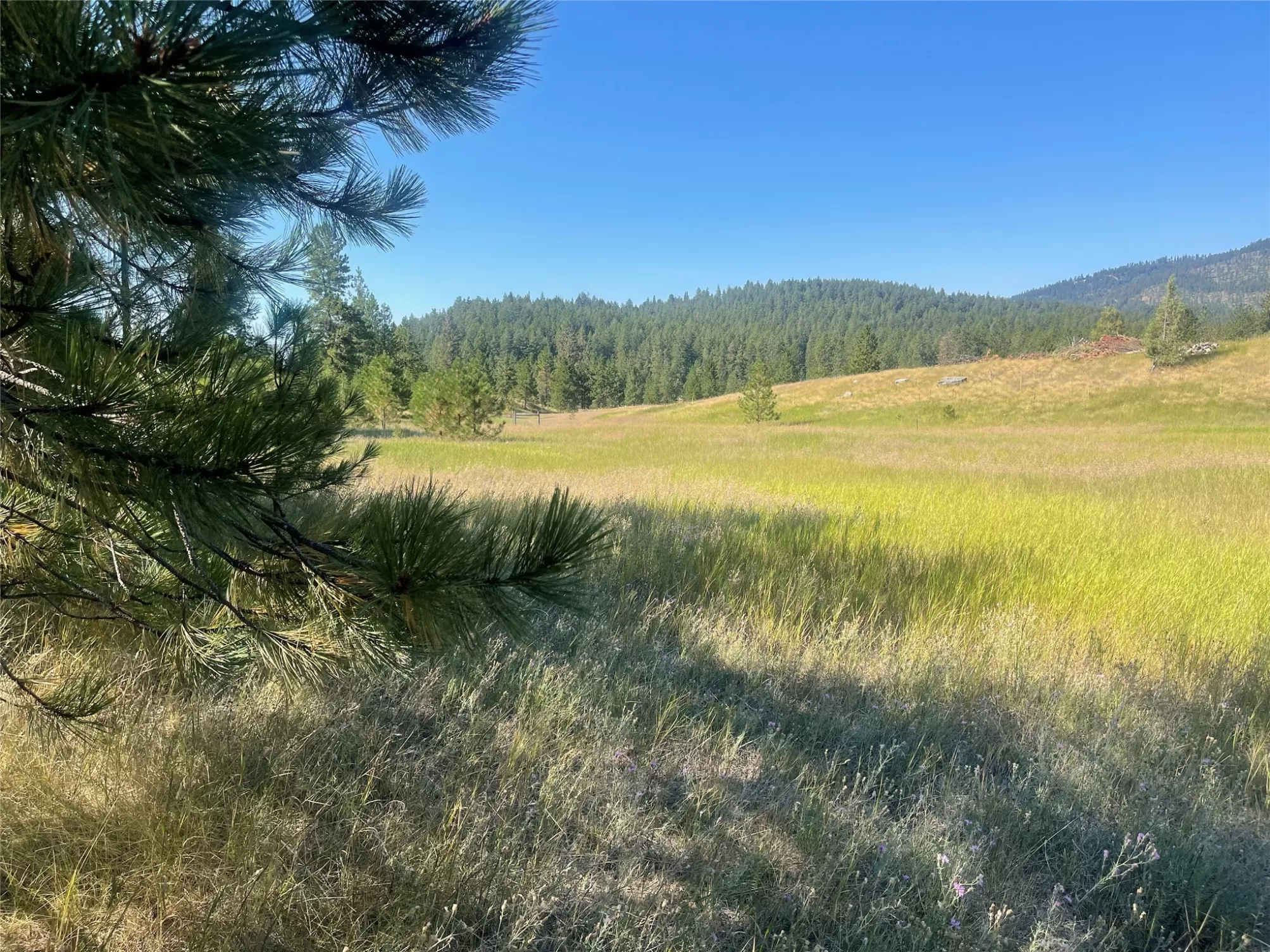 Lot 55 Jette Meadow Road Polson Unimprovedland Wat