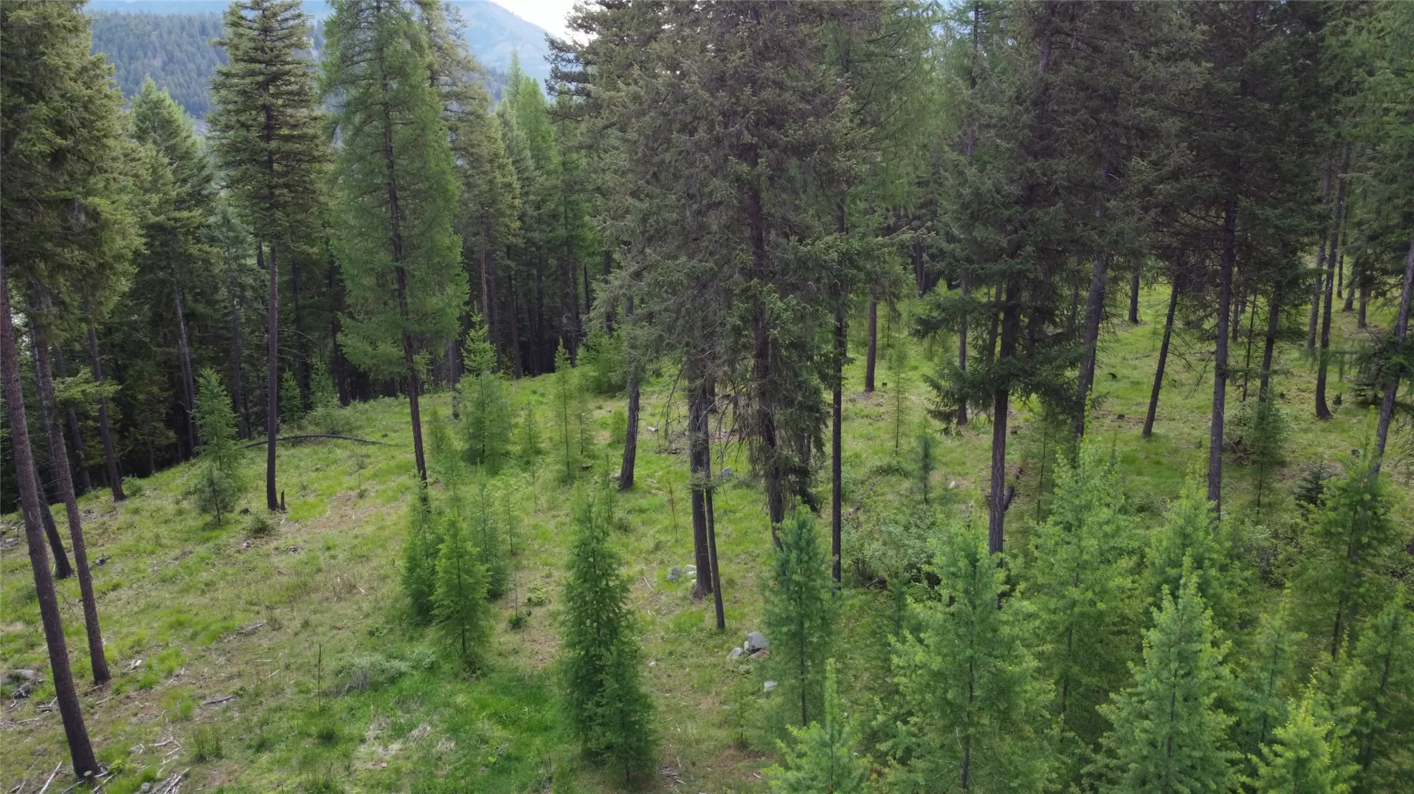 Parcel A Kootenai Drive Troy Waterfront 6 Acres