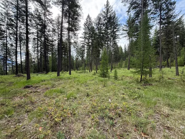 Parcel A Kootenai Drive Troy Waterfront 6 Acres