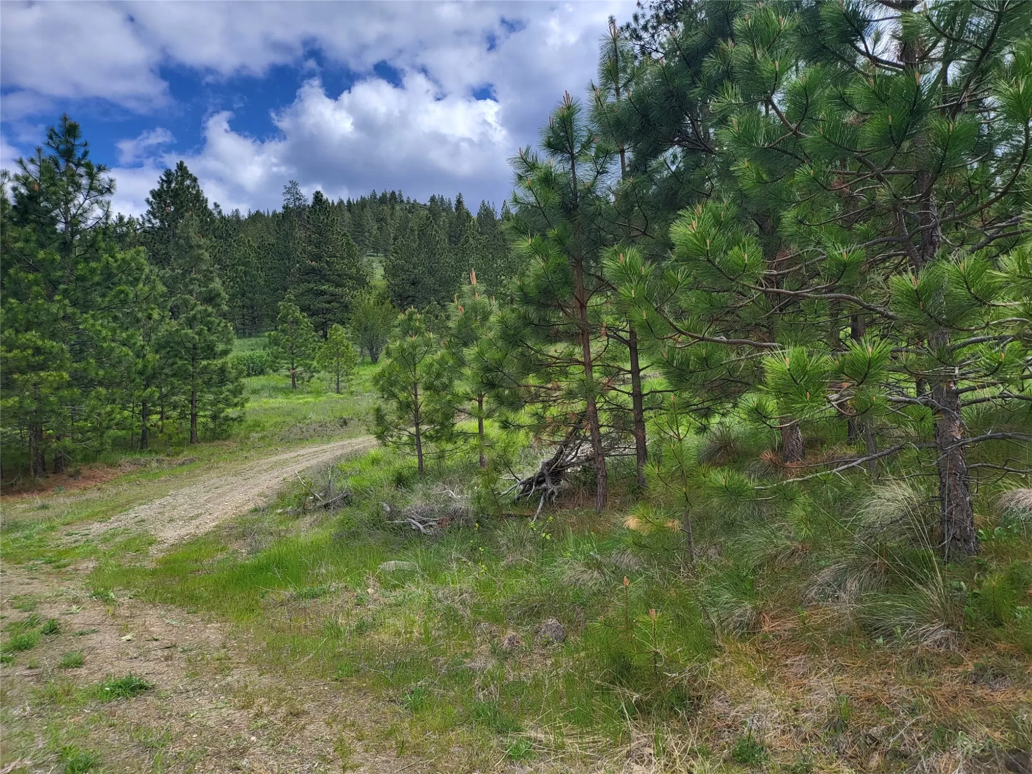 Lot 5 Yosyrian Lane Plains Unimprovedland Waterfro