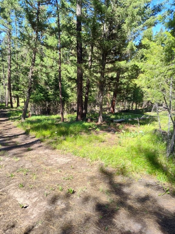 1825 Copper Cliff Drive Potomac Waterfront 8 Acres