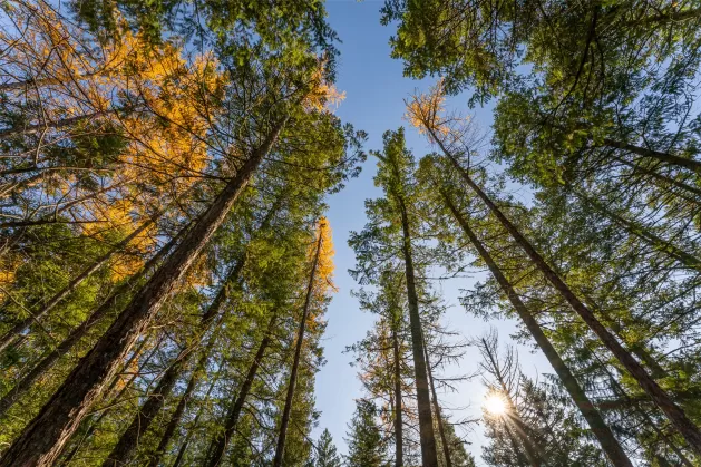 150   156 Peters Creek Way Kalispell Unimprovedlan