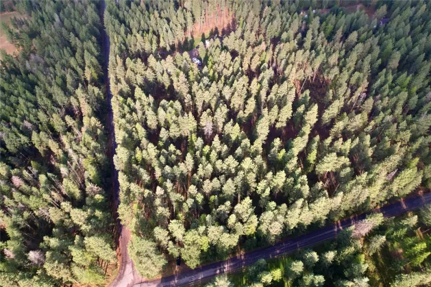 Nhn S Finley Point Road Polson Unimprovedland Wate