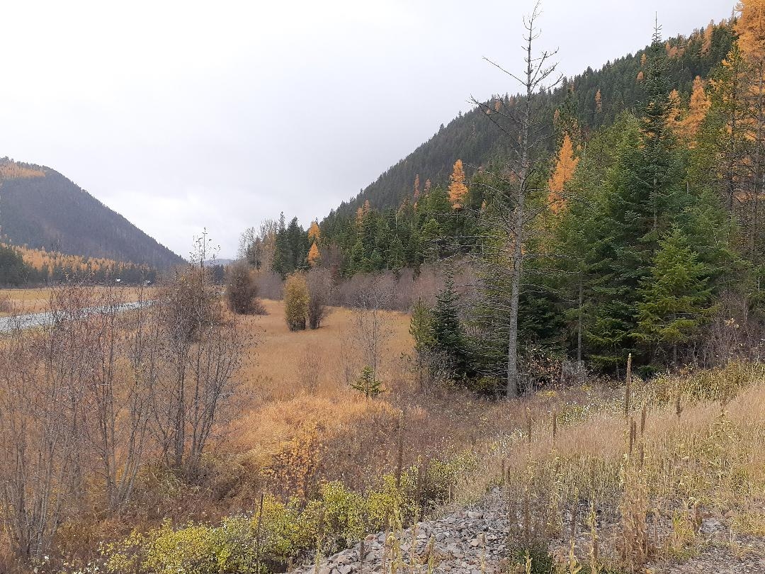 Nhn Highway 2 Libby Agriculture Waterfront 27 Acre