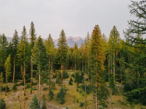 Nhn Styler Drive Condon Unimprovedland Condo Water