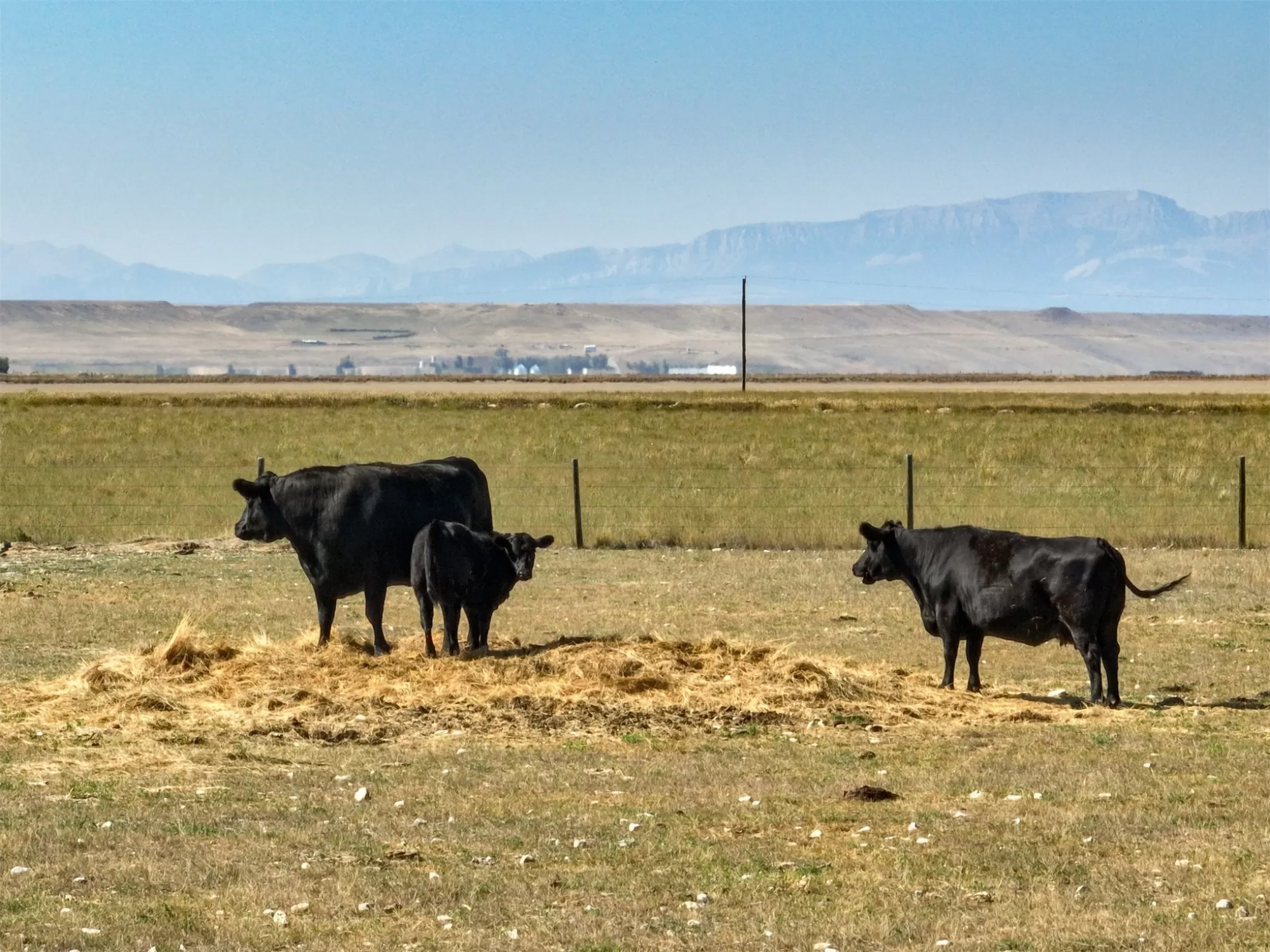 35 Othala Lane Choteau Singlefamilyresidence 3 Bed