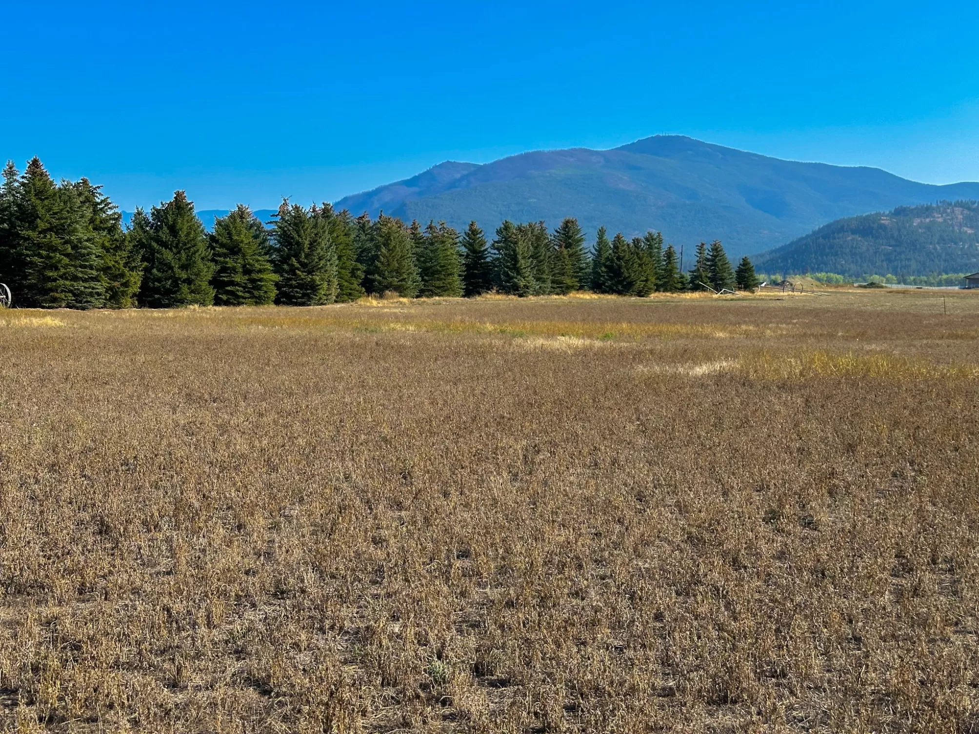 Nhn Picea Place Plains Waterfront