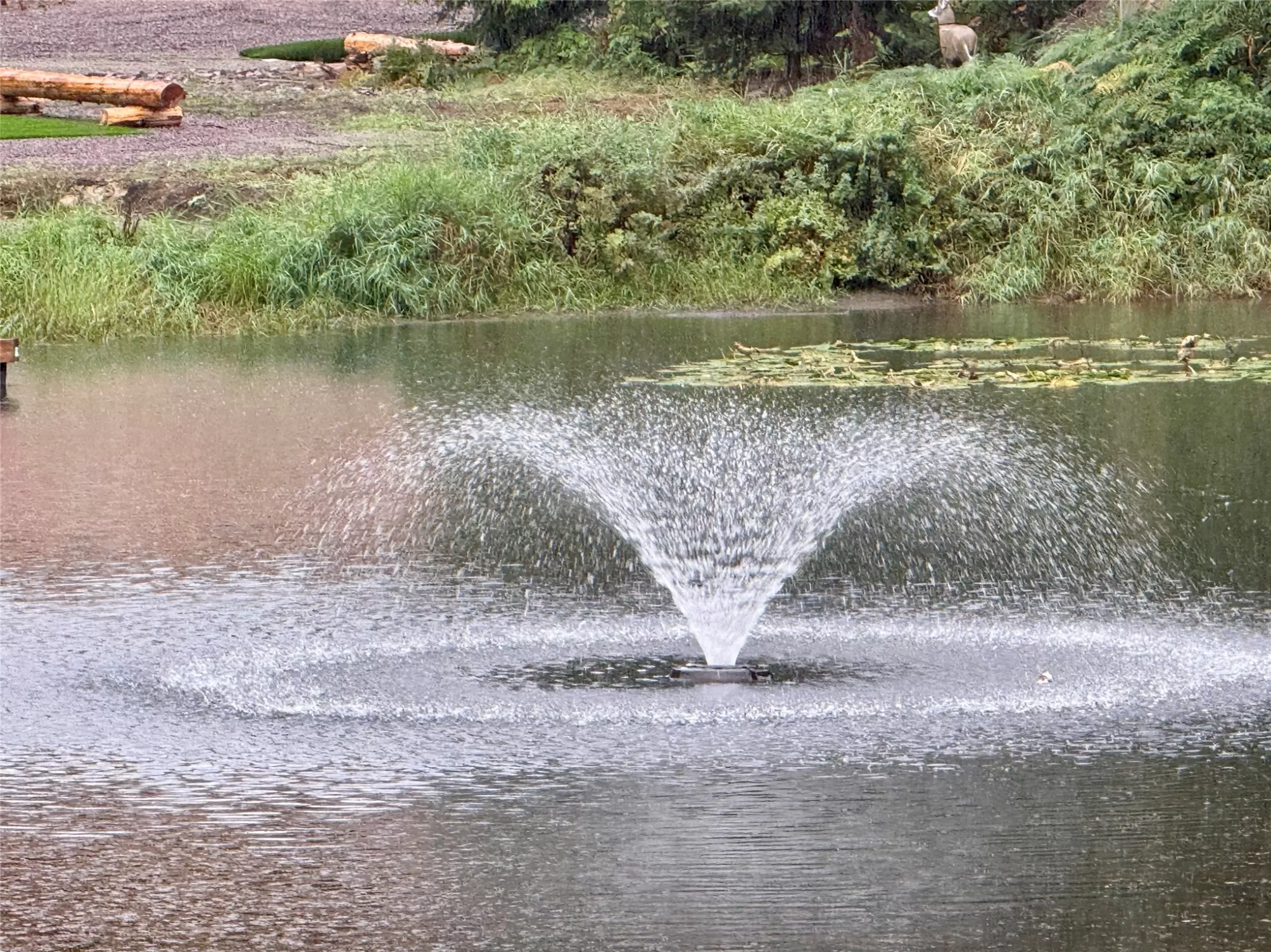 749 Halo Drive Troy Waterfront