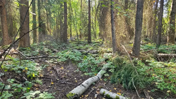 1043 Oakmont Lane Columbia Falls Unimprovedland Go