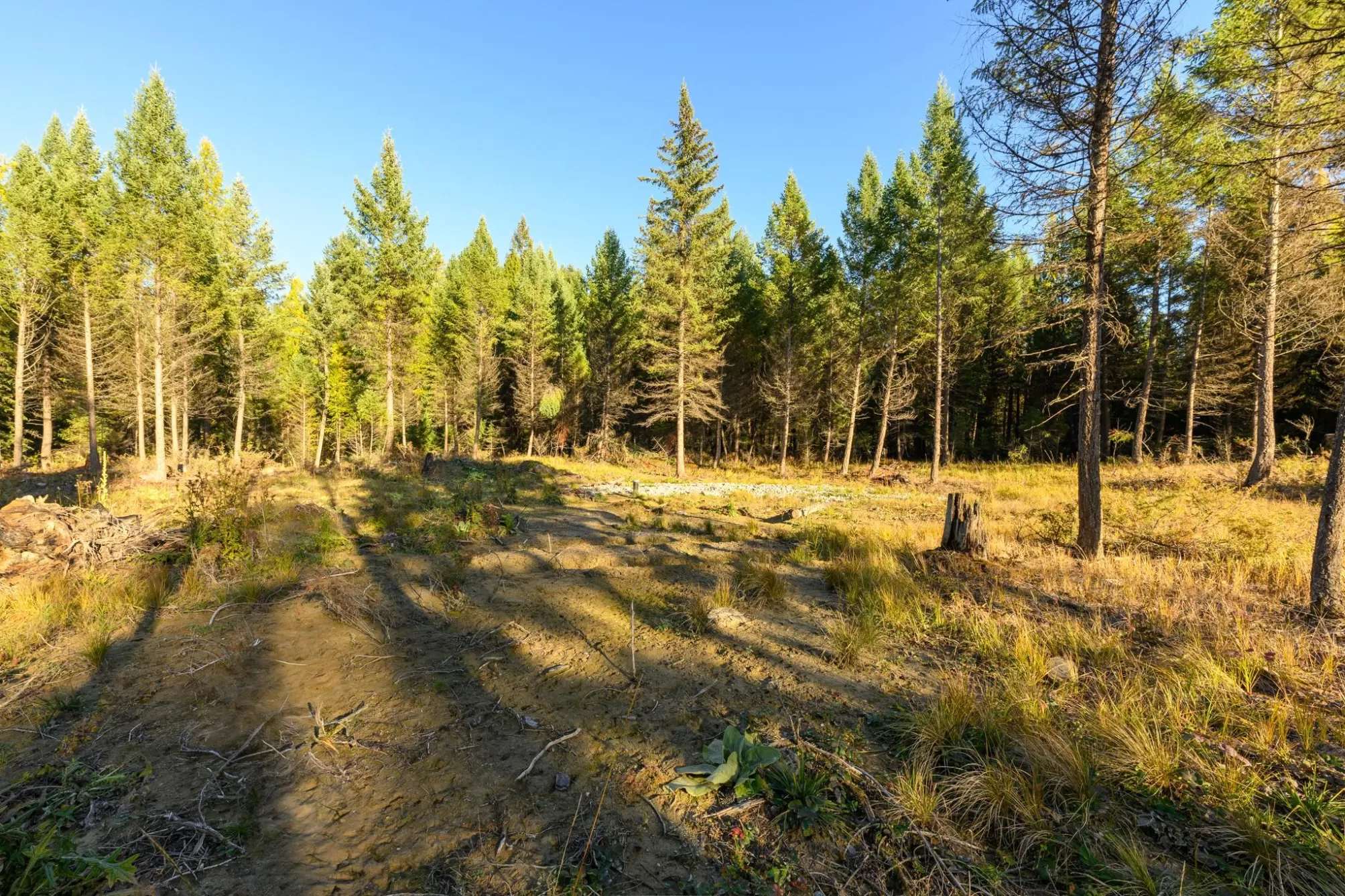 209 Turtle Trail Eureka Waterfront