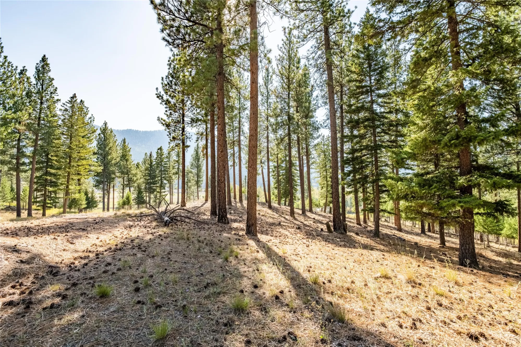 Lot 16 Stonefly Road Clinton Waterfront