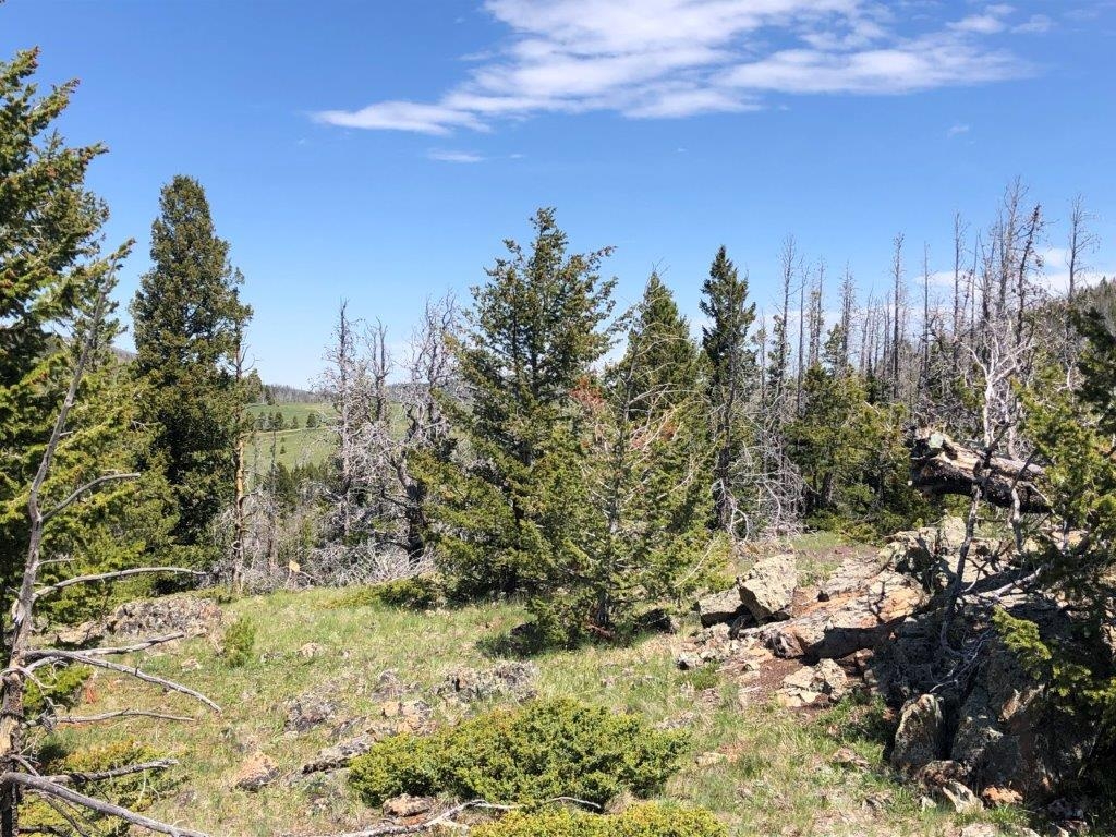 Tbd Indian Creek Road Townsend Unimprovedland Wate