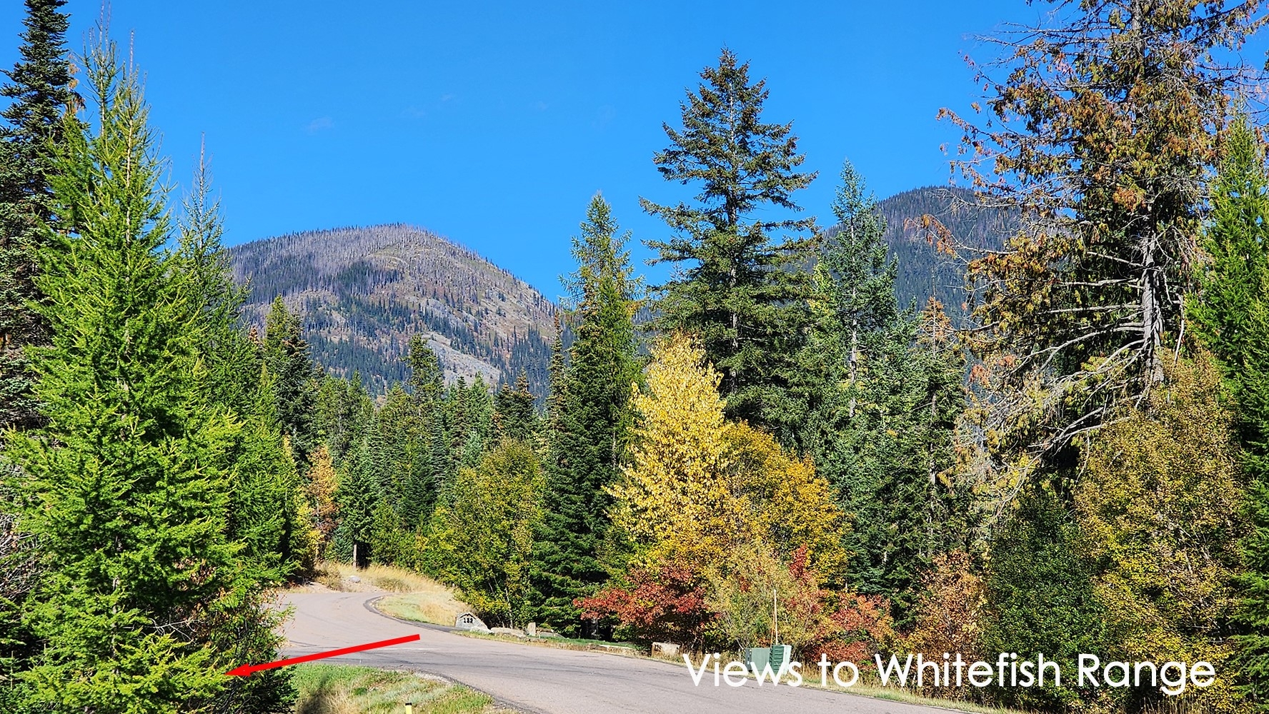 254 S Beargrass Circle Whitefish Golf Horse Ski Wa