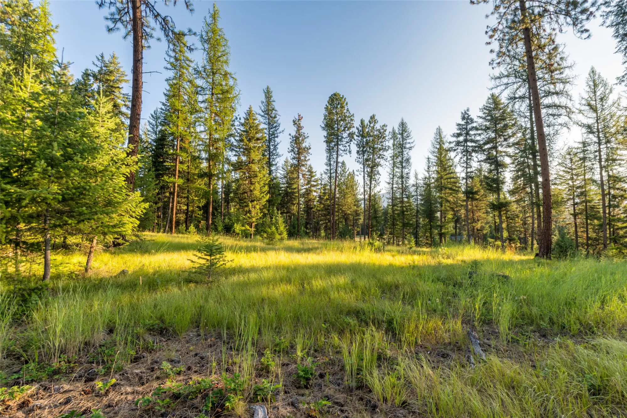 18 Baldy Mountain View Road Plains Waterfront 5 Ac