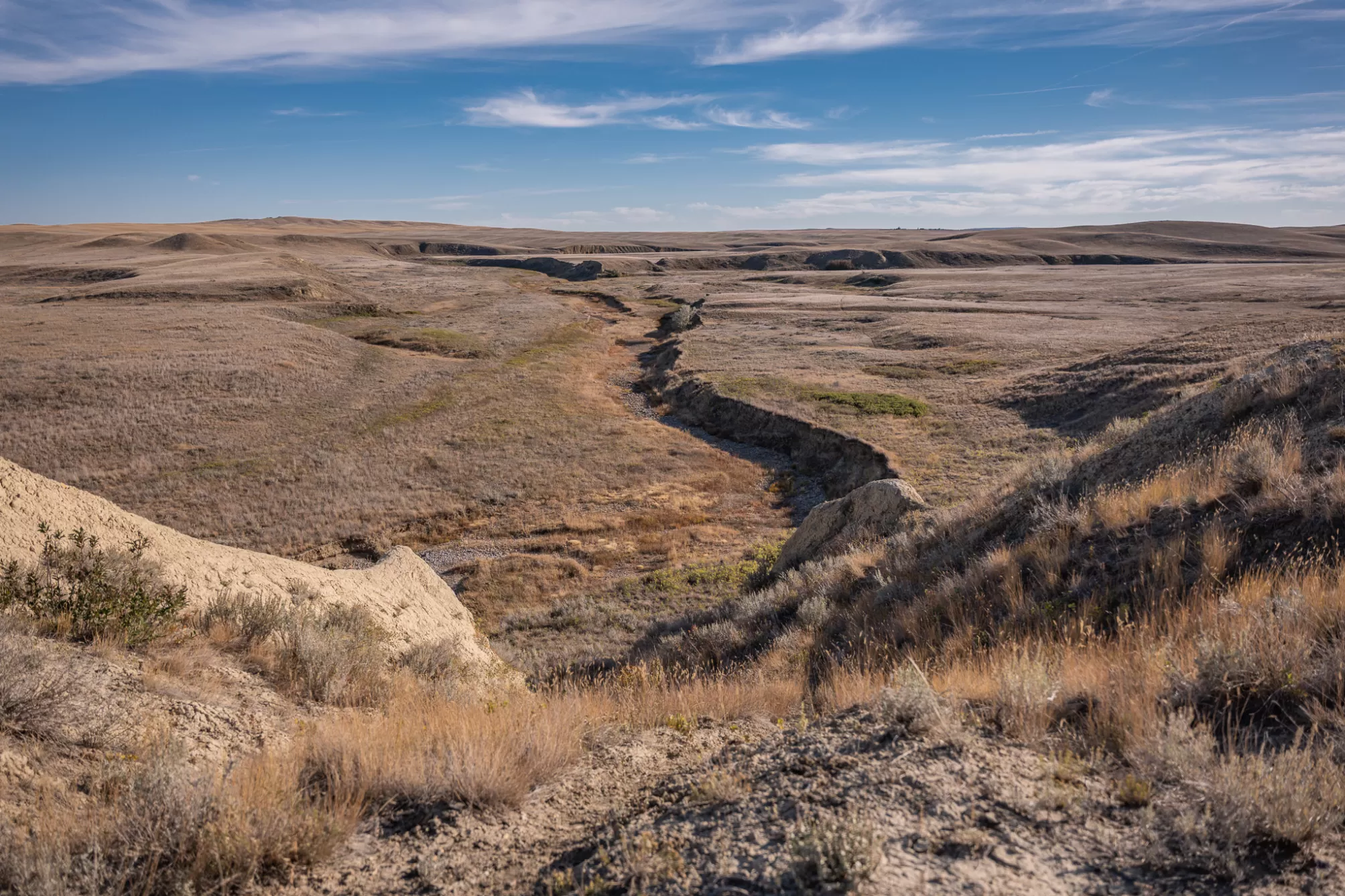 Tbd Selma Road Unimprovedland Horse Waterfront 320