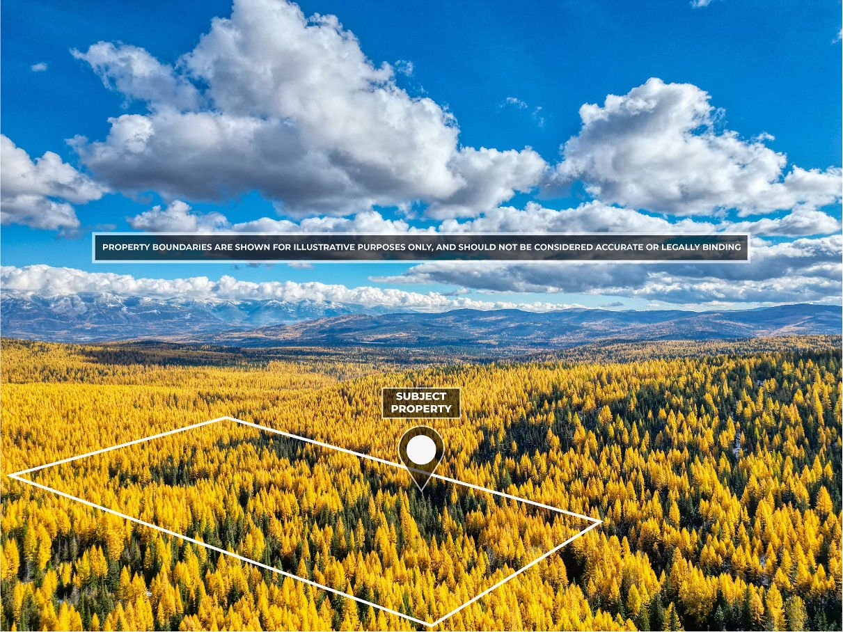 238 Cedar Hills Lane Trego Waterfront 40 Acres