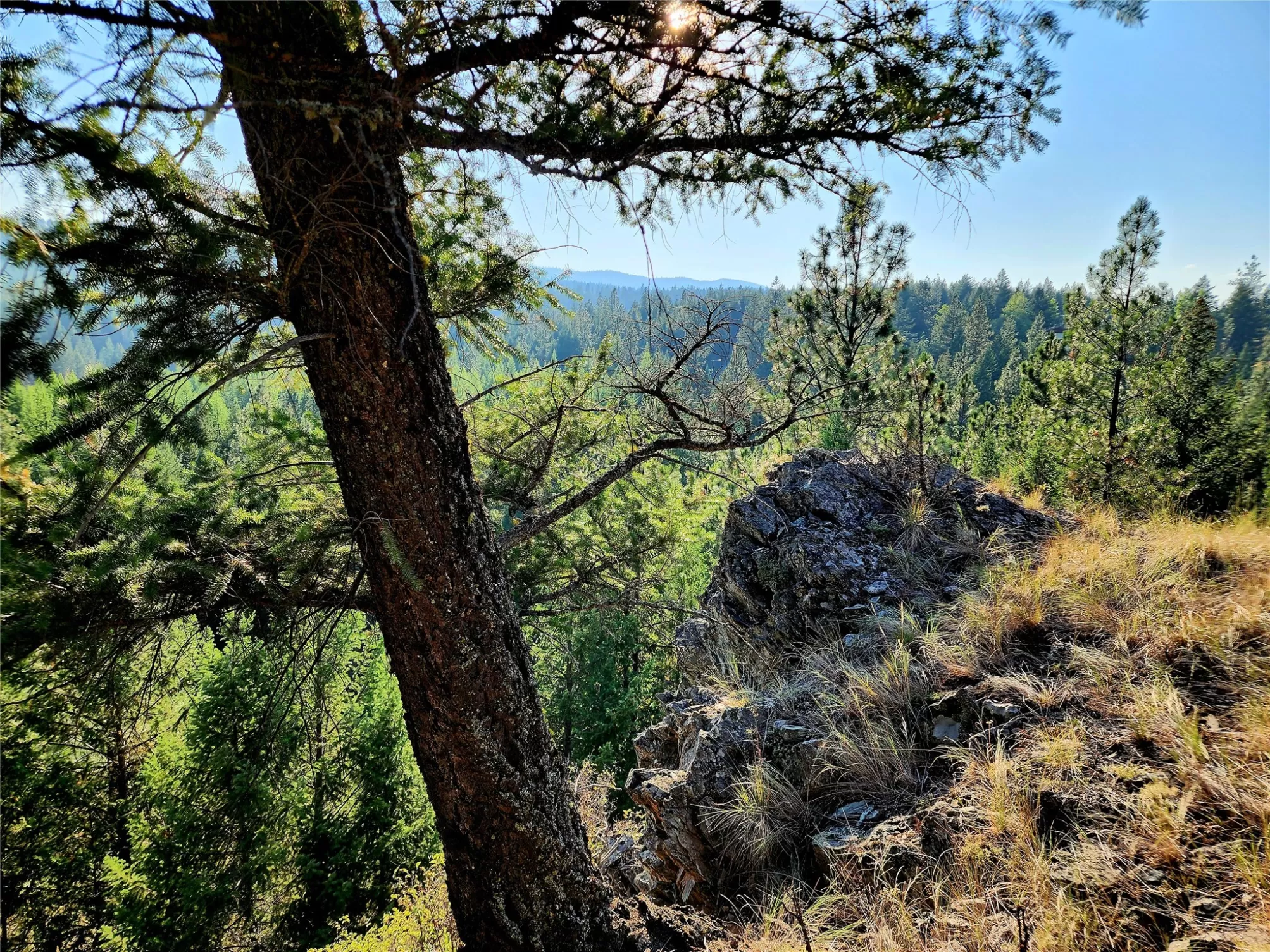 752 Tripp Trail Eureka Waterfront 10 Acres