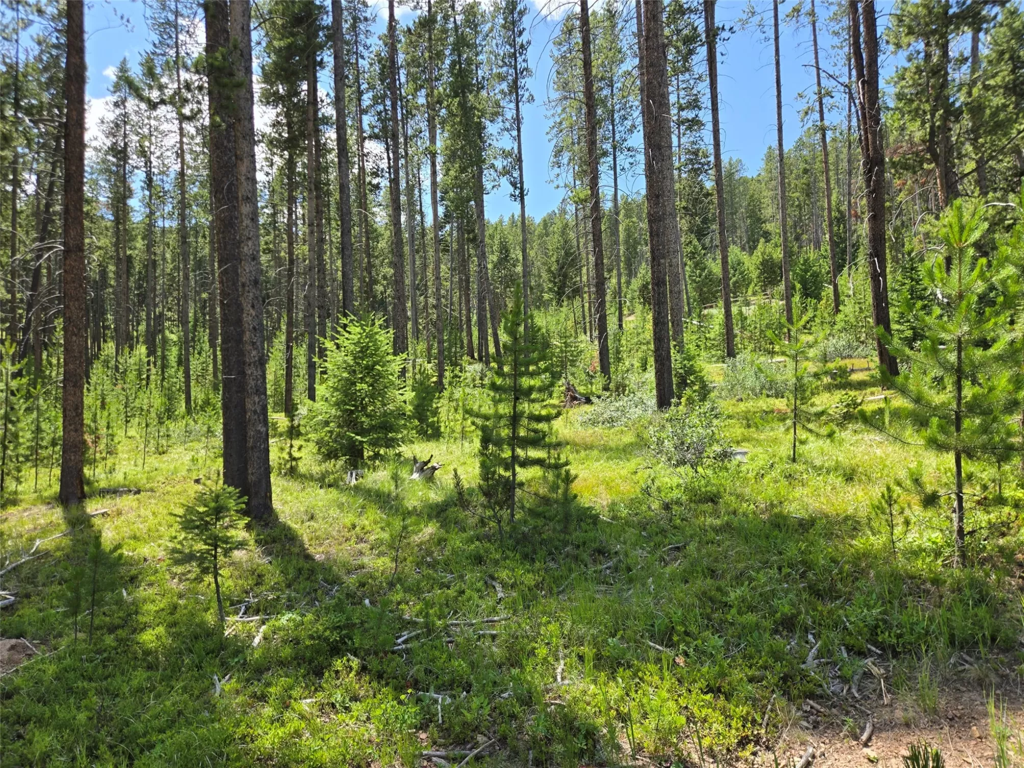 Lot 39 Shakopee Drive Anaconda Golf Ski Waterfront